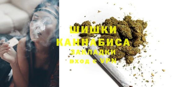 ешки Бронницы