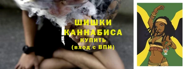 ешки Бронницы